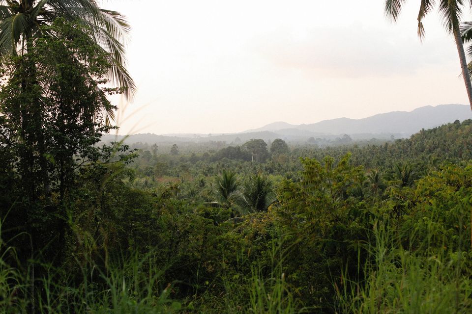 en Thaïlande