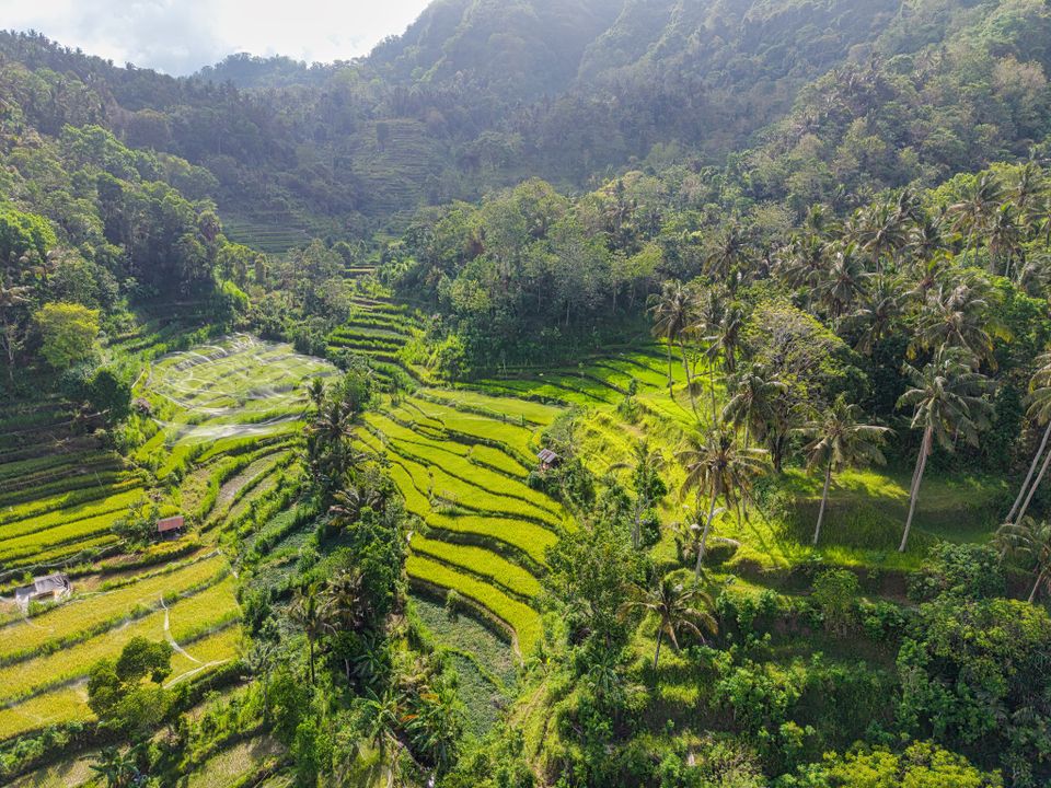 en province de Bali
