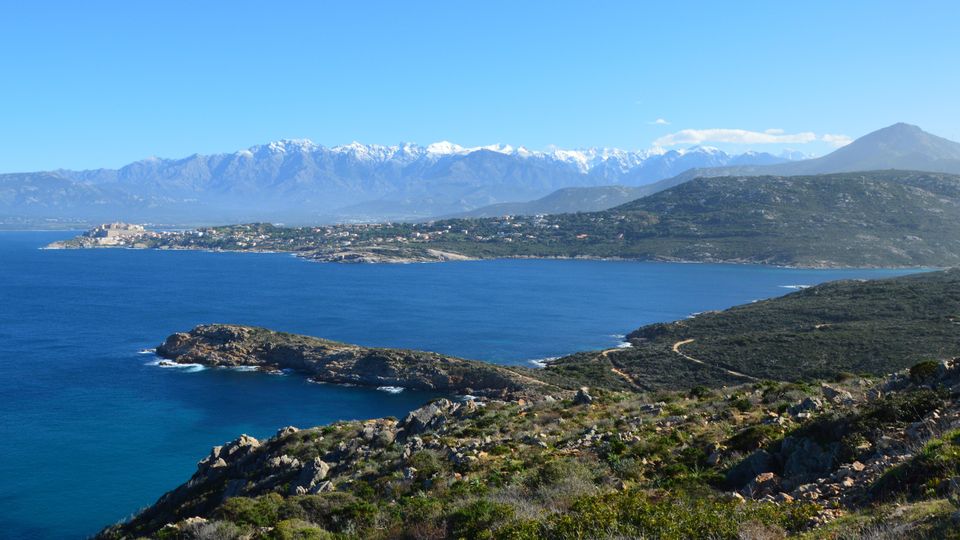 Corse