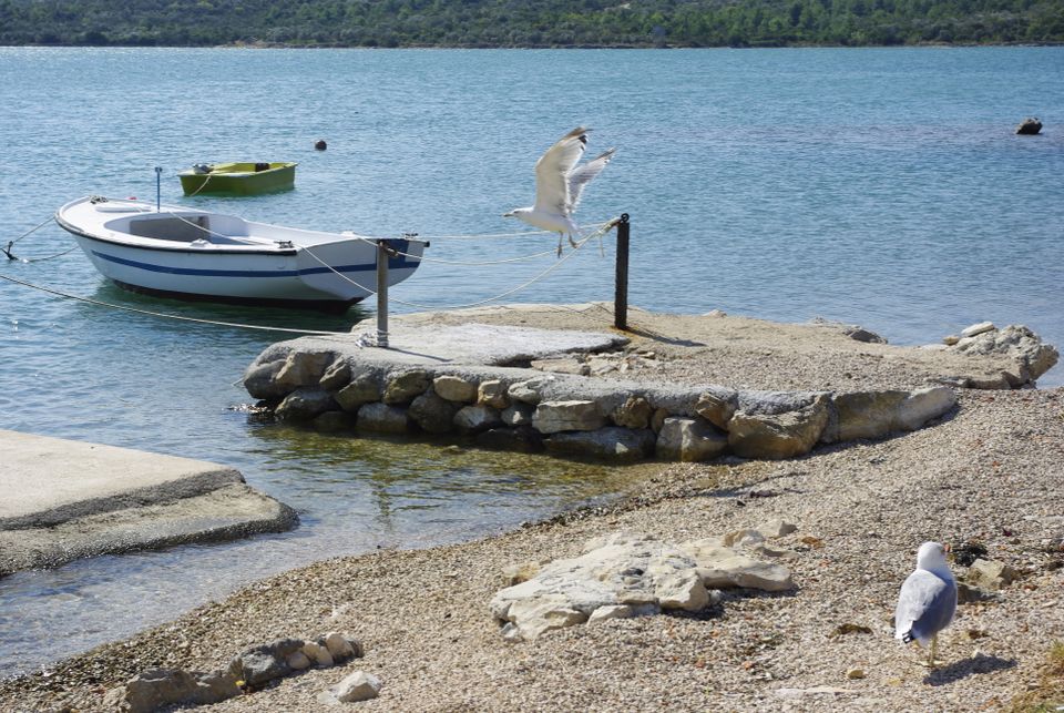 en Croatie