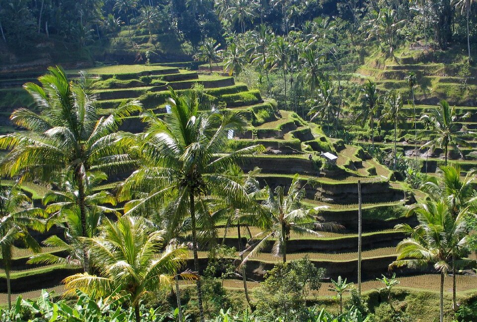 Bali panorama