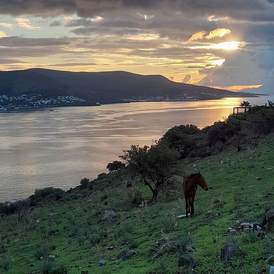 à Bodrum