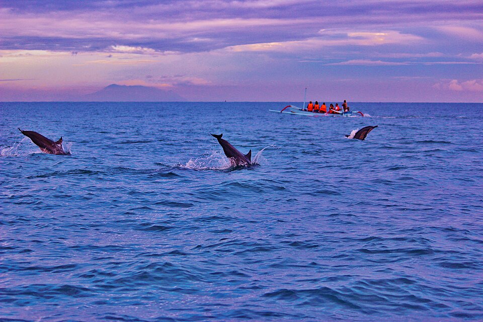 en province de Bali