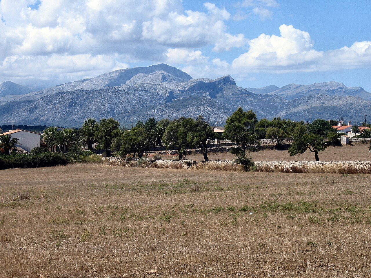 Alcúdia