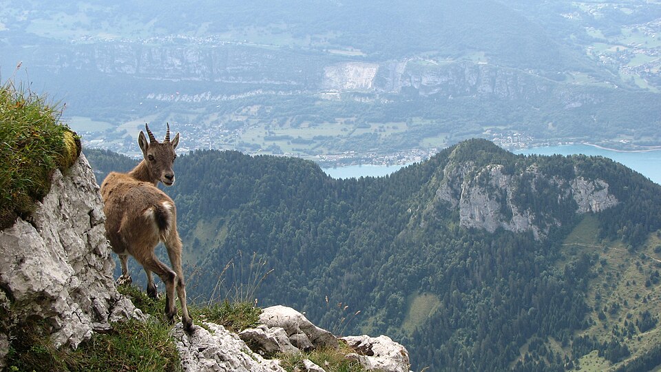 Annecy