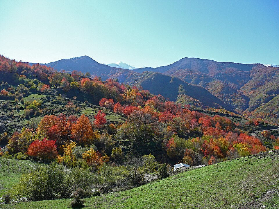 Abruzzes