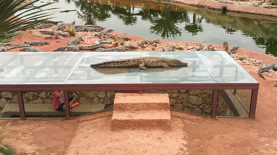 Excursion Crocoparc Agadir