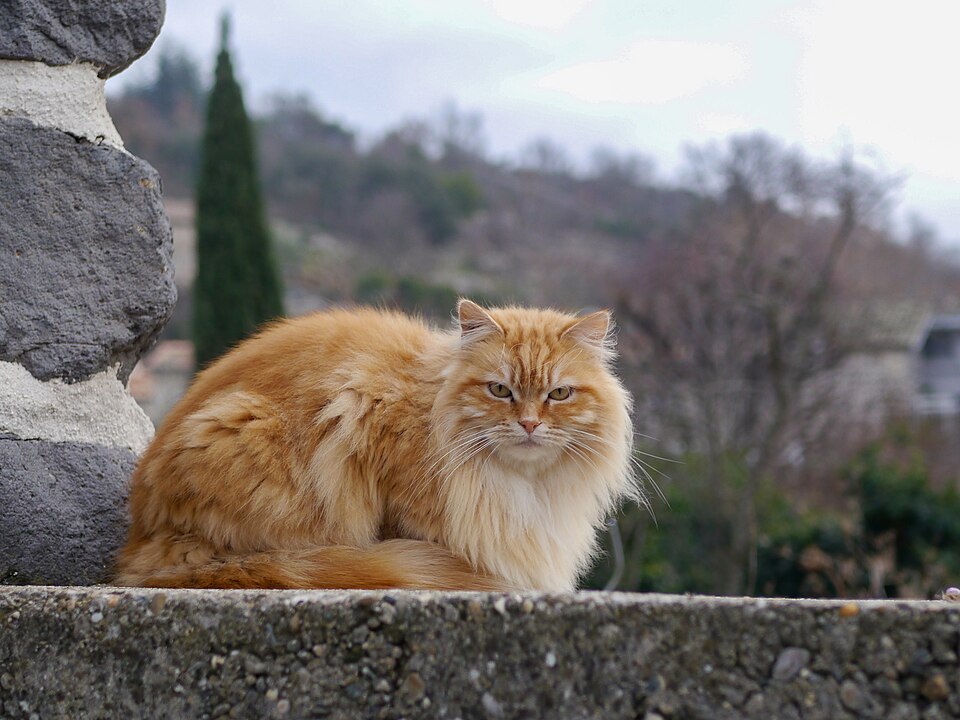 Ardèche