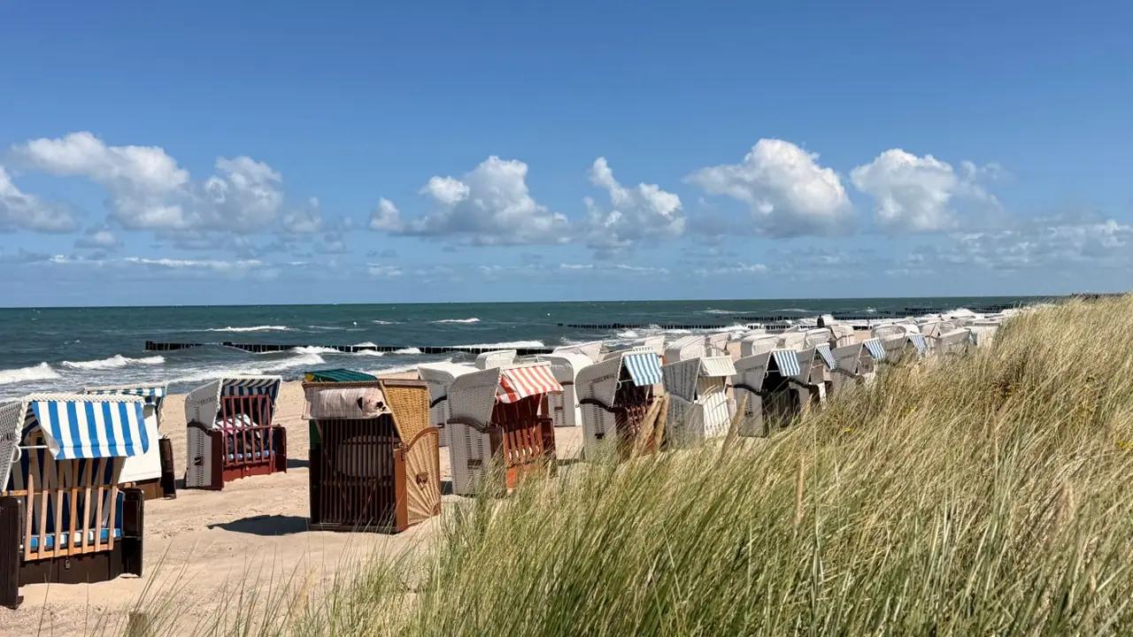 Plage sur la mer Baltique